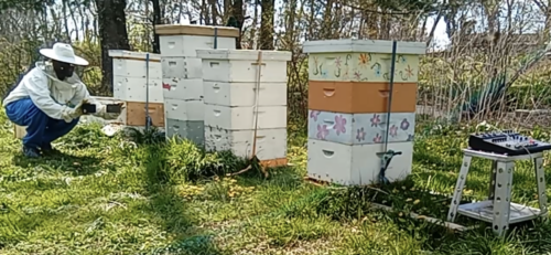 Taji Ra'oof Nahl in a beekeeper's suit and jeans squats in front of a stack of beehives in boxes. To the right of them is what appears to be a sound mixing board.